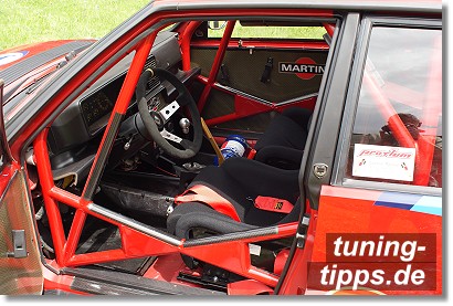 Flankenschutz Lancia Integrale