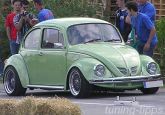 VW K&auml;fer 1200