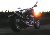 Yamaha XV 1600 Wild Star