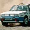 Motor 1H Rallyegolf
